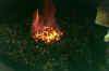 fire.jpg (25987 bytes)